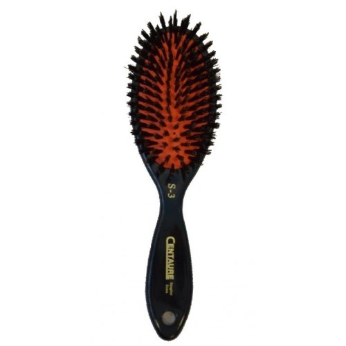 BOAR SPAZZOLA SM 22 CM TOELETTATURA CANE SPZ0003