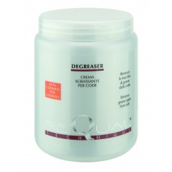 REQUAL SGRASSANTE DEGREASER...